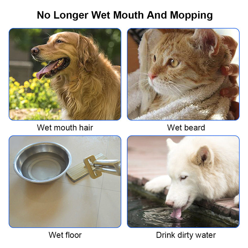 Floating Anti-Overflow Pet Water Bowl — Slow Feeder — PuraVeil