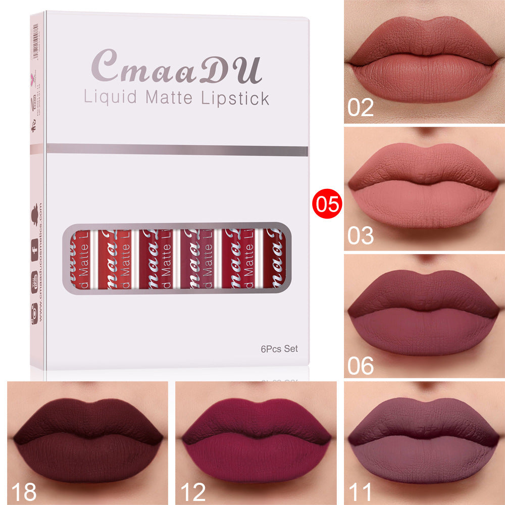 Long-Lasting Matte Lip Gloss Set — 4 Waterproof Shades — PuraVeil