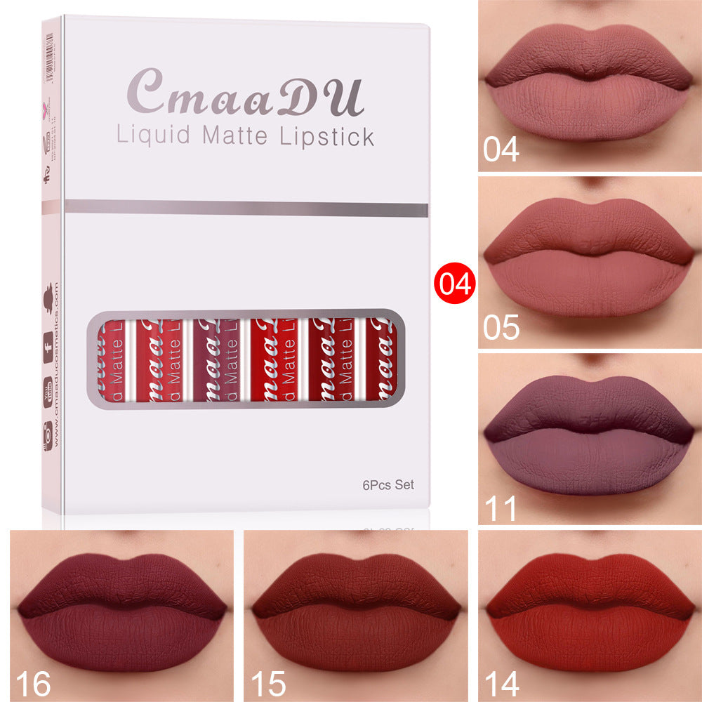 Long-Lasting Matte Lip Gloss Set — 4 Waterproof Shades — PuraVeil