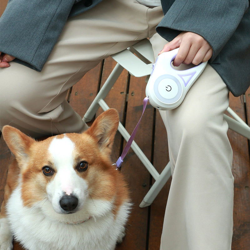 Retractable Dog Leash with Built-In LED Spotlight — PuraVeil