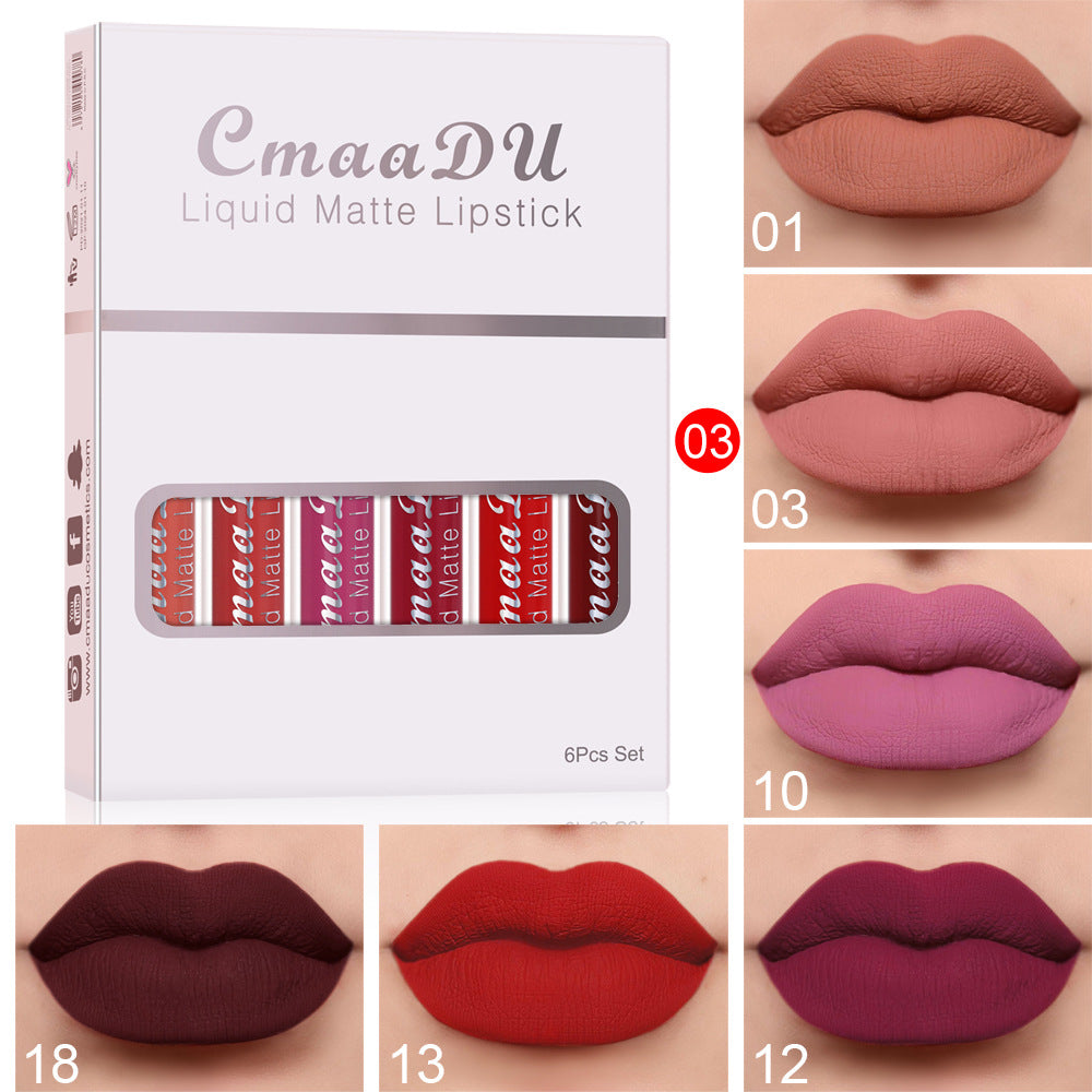 Long-Lasting Matte Lip Gloss Set — 4 Waterproof Shades — PuraVeil