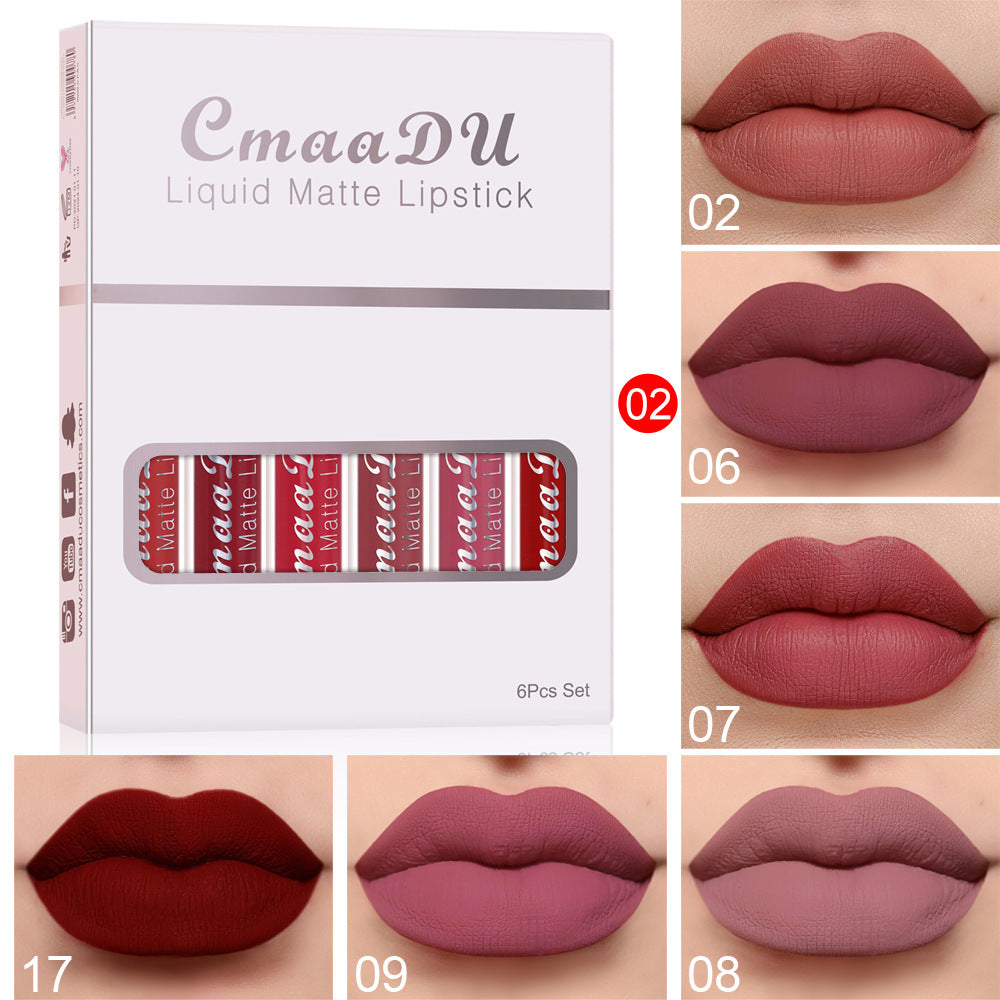 Long-Lasting Matte Lip Gloss Set — 4 Waterproof Shades — PuraVeil