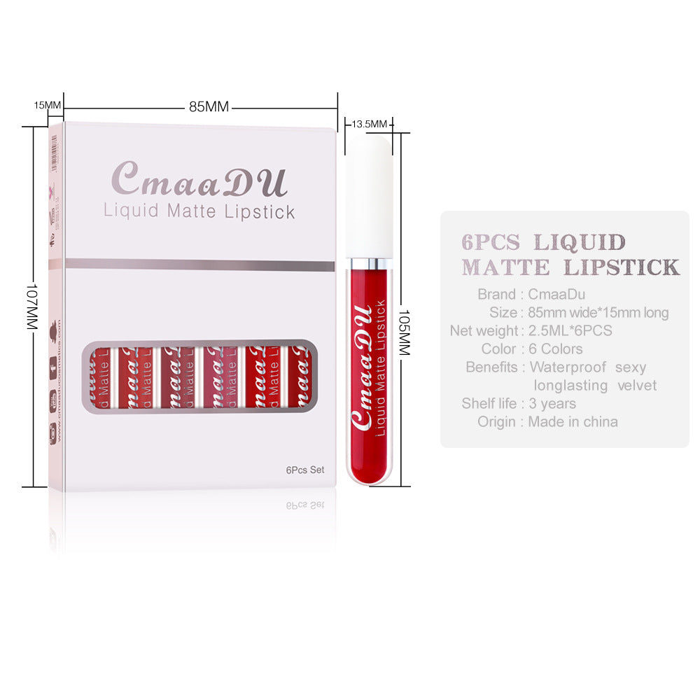 Long-Lasting Matte Lip Gloss Set — 4 Waterproof Shades — PuraVeil