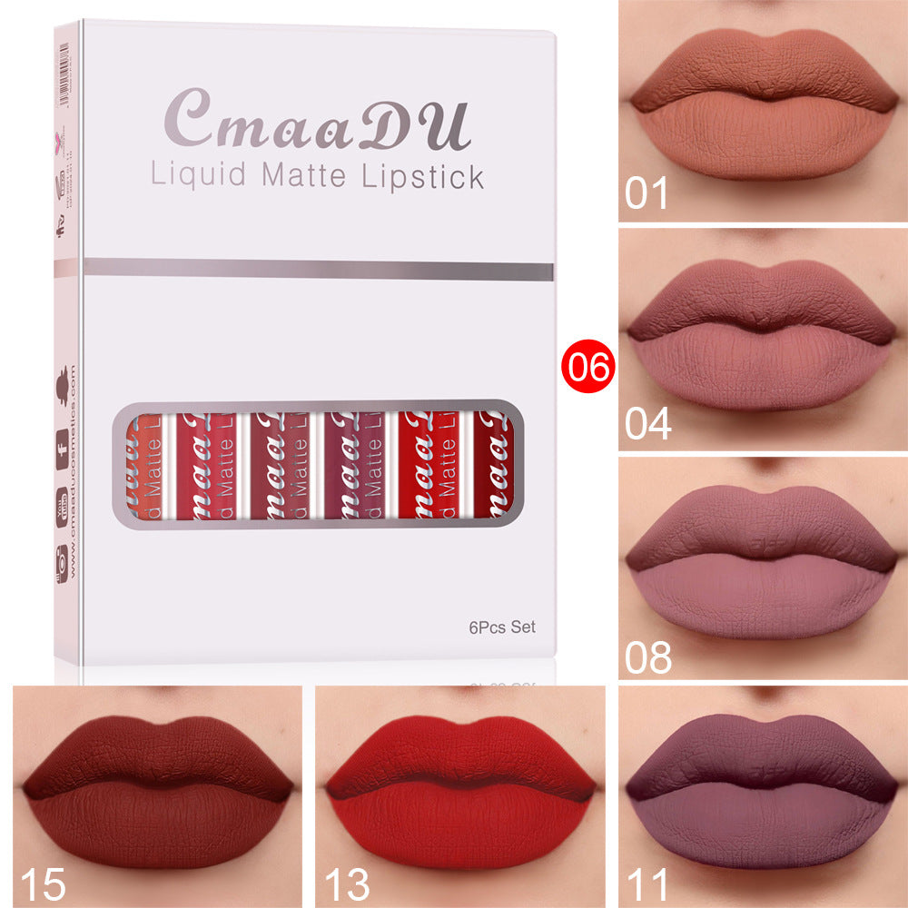 Long-Lasting Matte Lip Gloss Set — 4 Waterproof Shades — PuraVeil